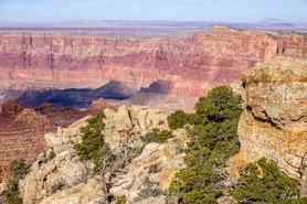 Grand Canyon  2017-12-500-2-net.jpg