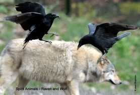 Spirit Animal_Raven and Wolf.jpg